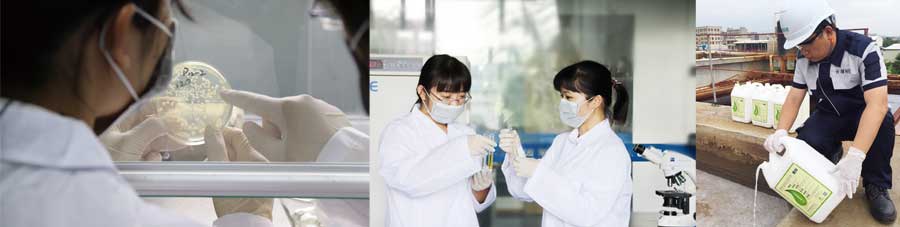 總氮菌-3天見效，15天達標